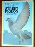 The public life of the street pigeon