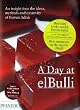 A Day at ElBulli: An insight into the ideas, methods and creativity of Ferran Adri�