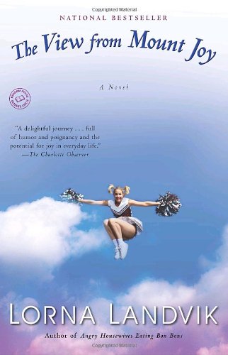 The View from Mount Joy: A Novel