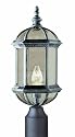 Trans Globe Lighting 4186 BK 19-3/4-Inch 1-Light Outdoor Post Top Lantern, Black