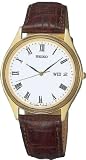 Seiko Men's Watch SGG480