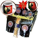 Birds - Green-Winged Macaw - Coffee Gift Baskets - Coffee Gift Basket