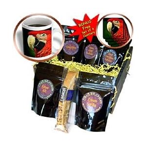 Birds - Green-Winged Macaw - Coffee Gift Baskets - Coffee Gift Basket by 3dRose LLC
