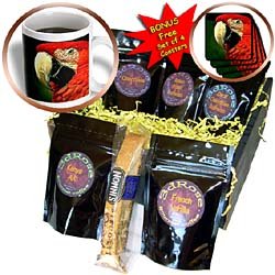 Birds - Green-Winged Macaw - Coffee Gift Baskets - Coffee Gift Basket by 3dRose LLC