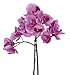 House of Silk Flowers Artificial 17-Inch Phalaenopsis Orchid, Mini, Lavender