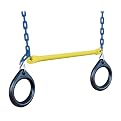 Swing-N-Slide Ring/Trapeze Combo