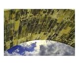 The Bridge Places Photographic Poster Print by Jeremy Wolfe, 10x8