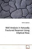 Well Analysis in Naturally Fractured Reservoir Using  Elliptical Flow