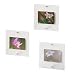 Painted Live Love Laugh Glass Frames Set of 3