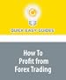 How To Profit from Forex Trading: An Introduction to Becoming Involved with Currency Trading