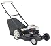 Outdoor Living : MTD PRODUCTS INC 11A-544B004 GOLD PUSH MOWER 158 CC