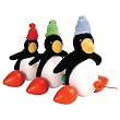 Educo Pull Along Penguin Waddle By Hape International