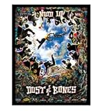 New World Disorder 10 (NWD 10) - Mountain Bike DVD