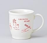 ローズマリーマグ　【マグカップ 美濃焼】