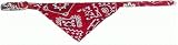 Red Western Bandanna Fancy Dog Collar 1/2 x 16