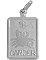 14 Karat White Gold Cancer Zodiac Pendant with Chain
