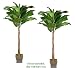 TWO 9.5' Artificial Banana Tropical Trees, with No Pot,