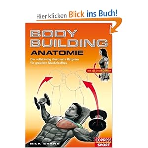 Nick Evans Basketball