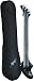 DeArmond Ashbory Bass - Black Fretless Mini Bass with Gigbag