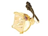 JVC TS-CL110U Replacement Lamp