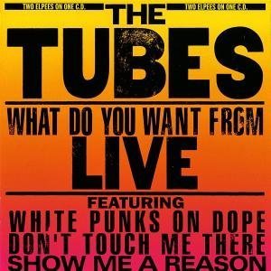 The Tubes - I Was A Punk Before You Were A Punk (Live) Lyrics - Zortam Music