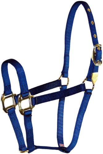 Hamilton 8D AVNV 3/4-Inch Nylon Arabian Horse Halter for 800 to 1100-Pound Horse, Navy Blue