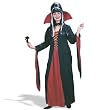 Victorian Vampiress Plus Adult Costume - Adult Costumes