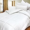 Blancho Bedding - Luxurious Down Alternative Comforter 300GSM Piped Edging (Twin Size)