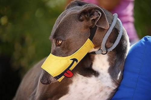 Original Cesar Millan Maulkorb Smiley Lustige Schnauze Funny Muzzle