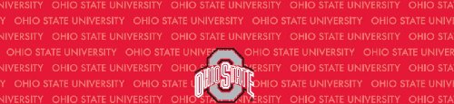 Ohio State Buckeyes Team Auto Visor Decal