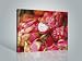 Posters: Fruits Stretched Canvas Print - Dragon Fruit (32 x 24 inches)