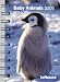 Baby Animals 2008 Calendar