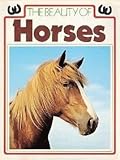 The beauty of horses