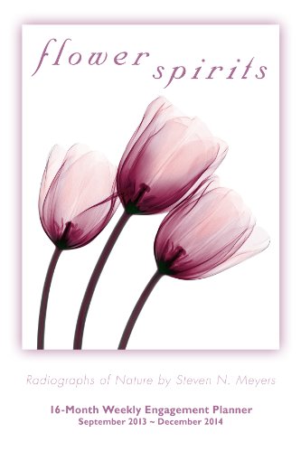 Flower Spirits 2014 Engagement (calendar)