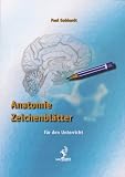 Produkt-Bild: Anatomie Zeichenbl&auml;tter: F&uuml;r den Unterricht