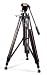 Pro-IV Aluminum Tripod with Pro-4 3-way head