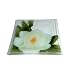 Peggy Karr 10-Inch Glass Magnolia Square Plate