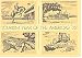 Tourism Year Of The Americas 1972 Postcard