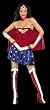 Halloween Superhero Wonder Woman Sexy Adult Womens Costume X-small Small Medium