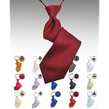 Boy's Solid Poly Multi Zipper Ties