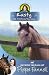 Tilly's Pony Tails 15: Rusty: the Trustworthy Pony