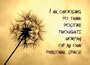 Vision Cards, Affirmations with Elements of Nature