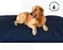 The Largest Jumbo XXXL Overstuffed Extra Large Orthopedic 55"X47" Thick Heavy Duty Denim Waterproof Memory Pet Dog Bed Pillow with 2 Layer Covers