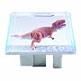 Bio-Bytes - Bio-Sphere - T-Rex