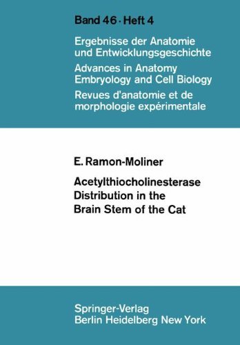 Acetylthiocholinesterase Distribution in the Brain Stem of the Cat (Advances in Anatomy, Embryology and Cell Biology)