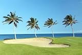 Golf Course on Lava Ocean Shore of Kona Island, Hawaii - 72W x 48H - Peel and Stick Wall Decal by Wallmonkeys