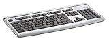 Produkt-Bild: Fujitsu Siemens Tastatur Slim MF 1Pk. Tastatur USB 105 Tasten MS W98 D Silber