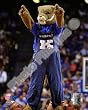 Kentucky Wildcats Mascot 8x10 Photo