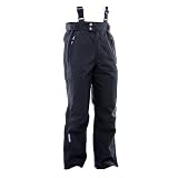 Descente Canuk Bib Mens Ski Pants 2012