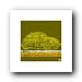 Haynes Vw Volkswagen Beetle 16X16 Fine Art Print 45057